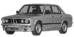 BMW E28 C0491 Fault Code