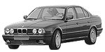 BMW E34 C0491 Fault Code